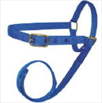 Sheep/Goat Leading Halter