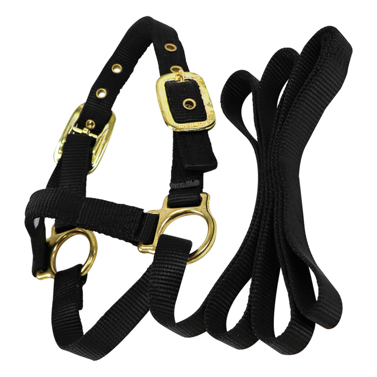Sheep Show Halter