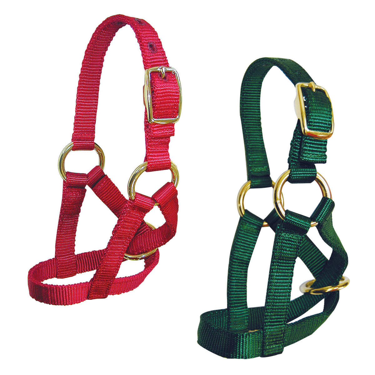 Goat Halter