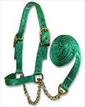 Heifer Show Halter