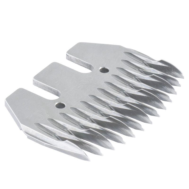 Camilid Comb