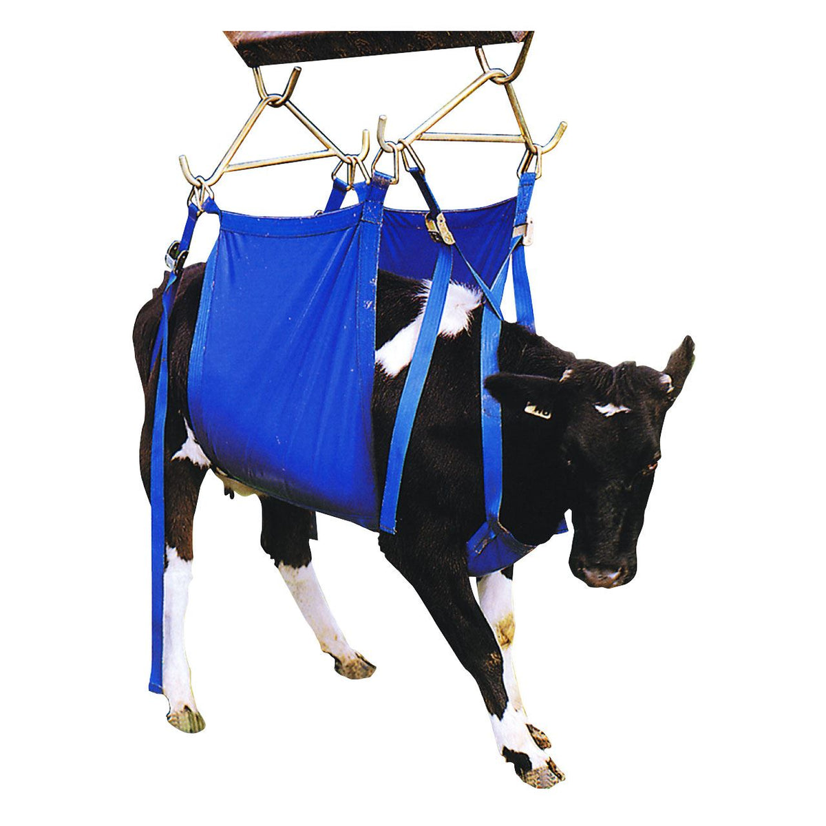 Daisy Cow Lifter