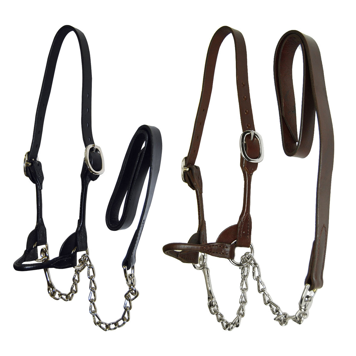 Round Leather Strap Dairy/Beef Show Halter