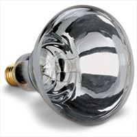 250W Brooder Heat Lamp