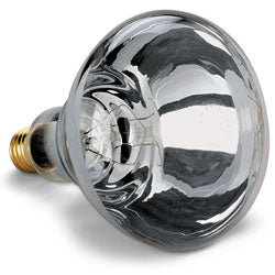 Electric Infrared Heat Bulb – Clear, 250 Watt