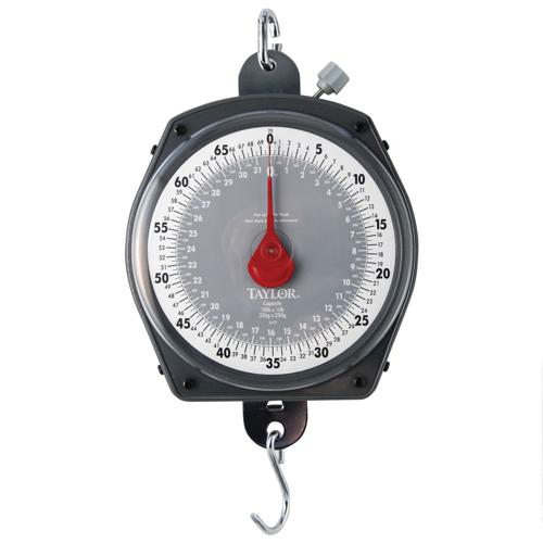 Taylor Hanging Dial Scale, 70 lb./31 Kg Capacity