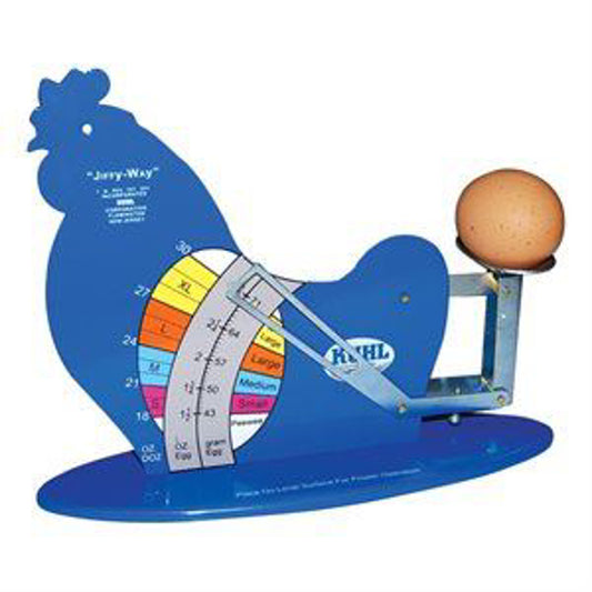 Jiffy Egg Grading Scale