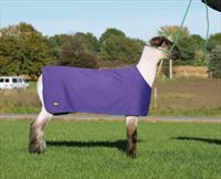 Sheep and Goat Underblankets