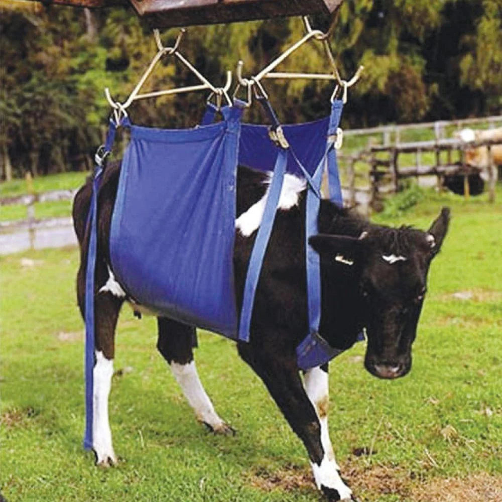 Daisy Cow Lifter