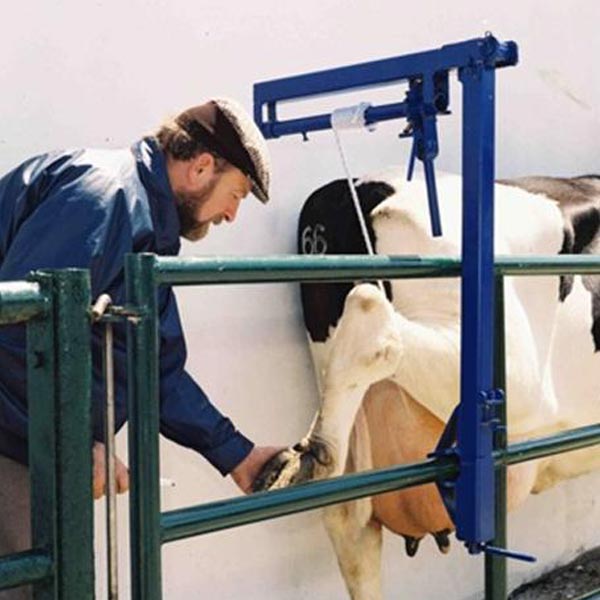 HoofNak Portable Hoof Hoist
