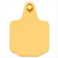 Perma-Flex Large Yellow Eartags, Blank