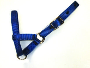 Baby Alpaca Halter